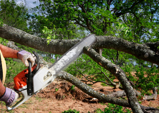 Landscape Design and Installation in Eastport, ME